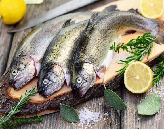 Frischer fisch