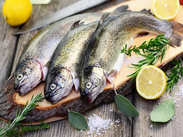 Frischer fisch
