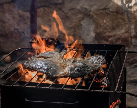 Fisch richtig grillen