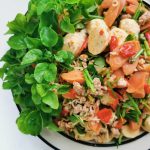 Fenchel Salat