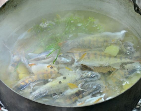 Fisch Fond selber machen