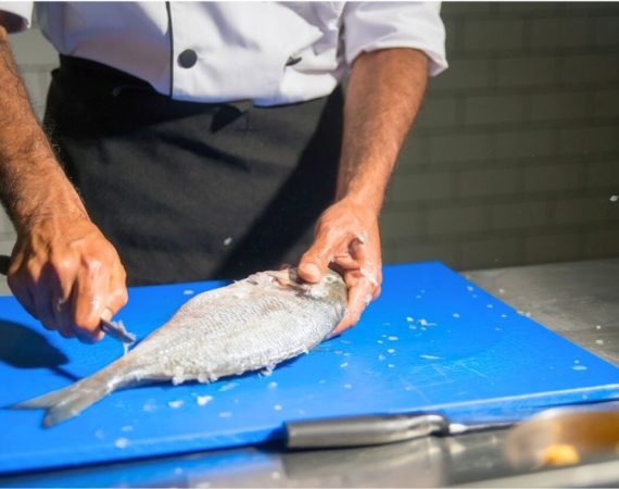 Fisch Filitieren