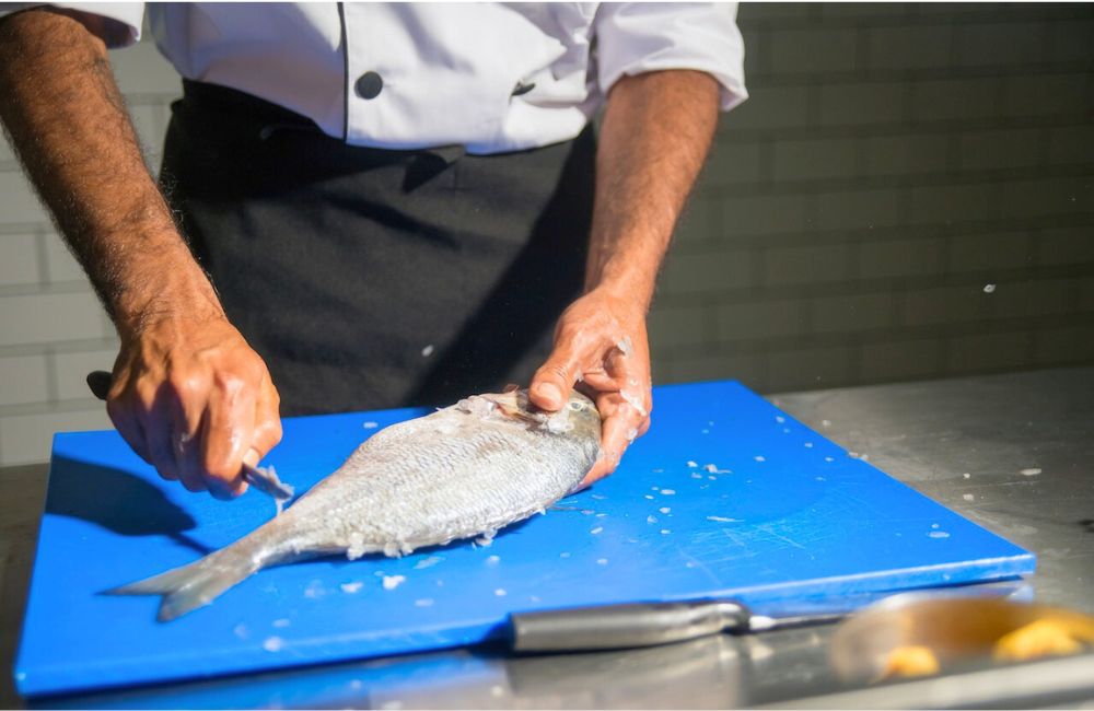 Fisch Filitieren