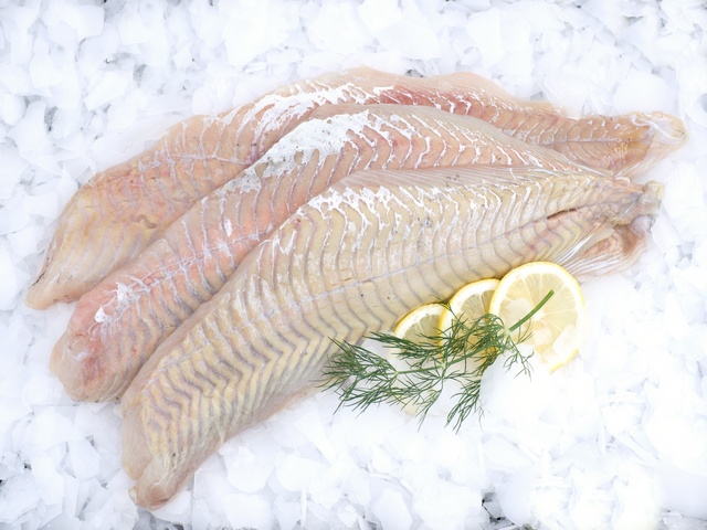Seelachsfilet ohne Haut fangfrisch Seelachsfilet ohne Haut fangfrisch