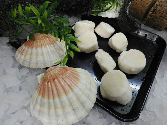 Jacobsmuschelfleisch auf einer schwarzer Platte, unbearbeitet