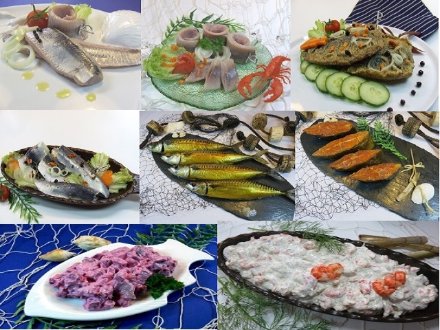 Kennlern-Paket Kennlern-Paket