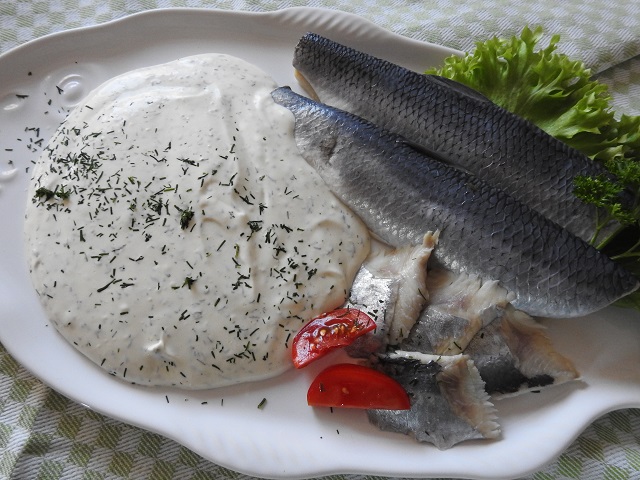 Bismarckfilets mit Dill-Creme auf Teller – garniert mit frischen Kräutern, hell maritim serviert.