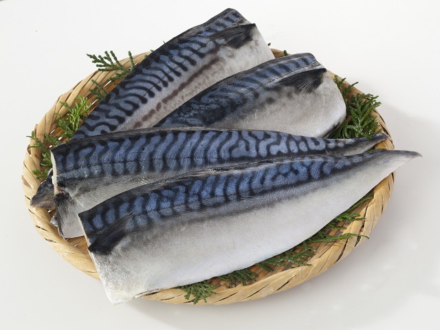 Makrelenfilet fangfrisch Makrelenfilet fangfrisch