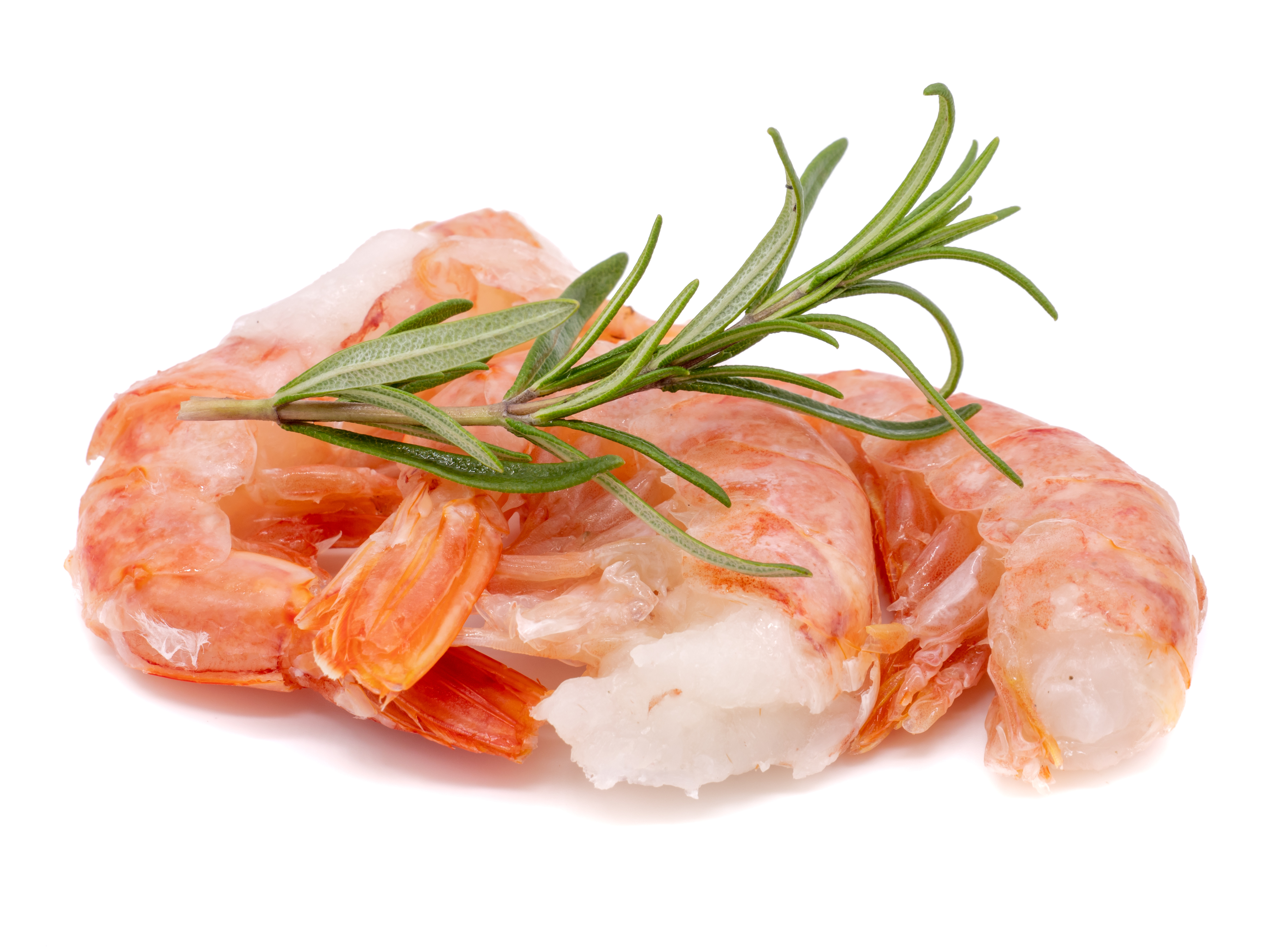 Rotgarnelenfleisch Wildfang Argentinien Easy-Peel rosa Garnelen mit Rosmarin
