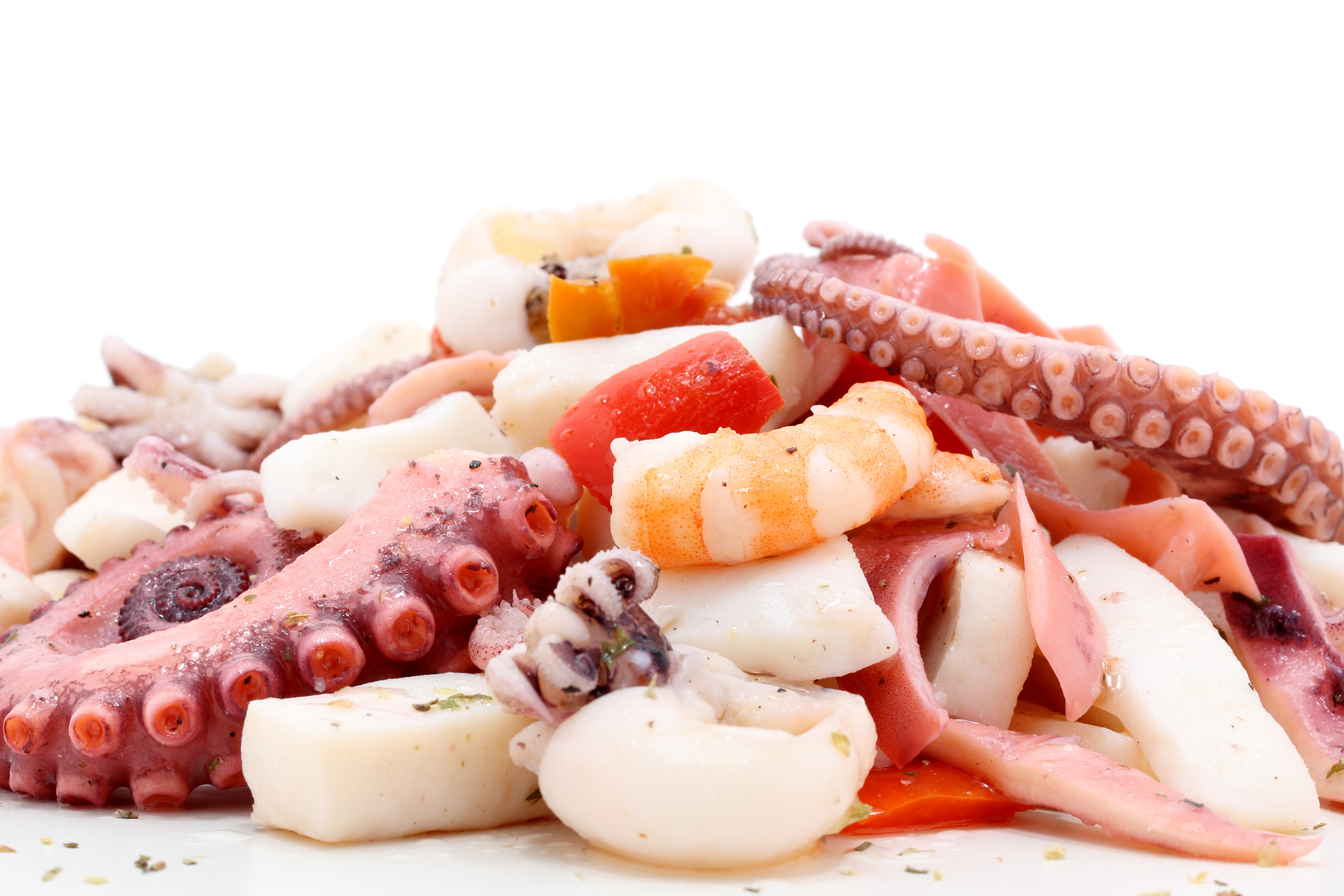 Frische Meeresfrüchte-Mischung mit Tintenfisch, Oktopus und Garnelen – appetitlich arrangiert.