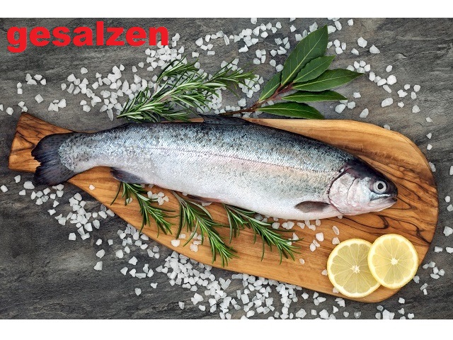 Lachsforellen gesalzen zum selber Räuchern Lachsforellen gesalzen zum selber Räuchern