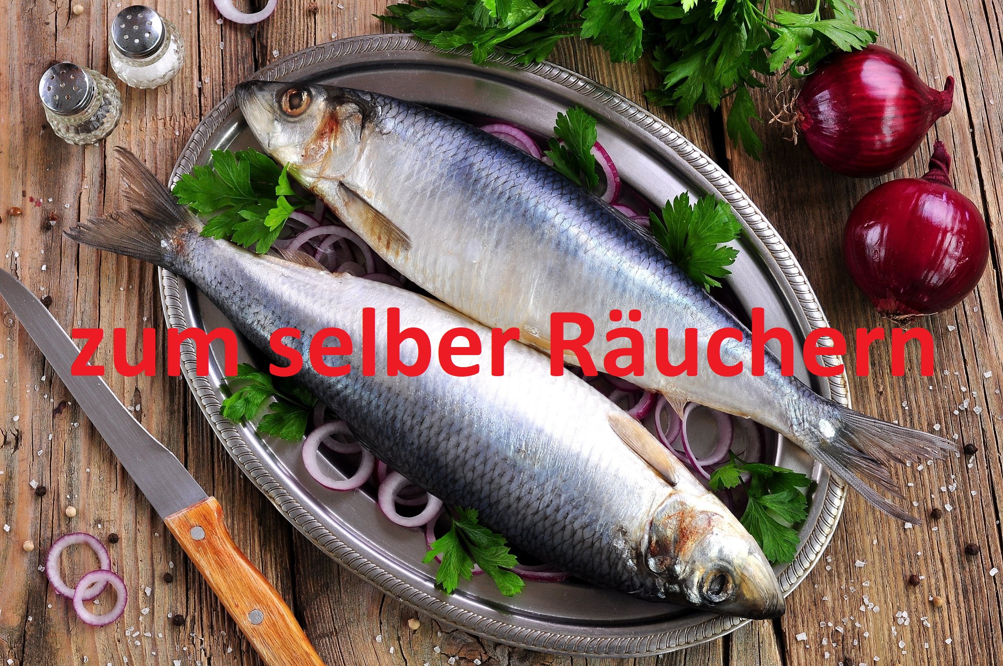 Heringe gesalzen zum selber Räuchern