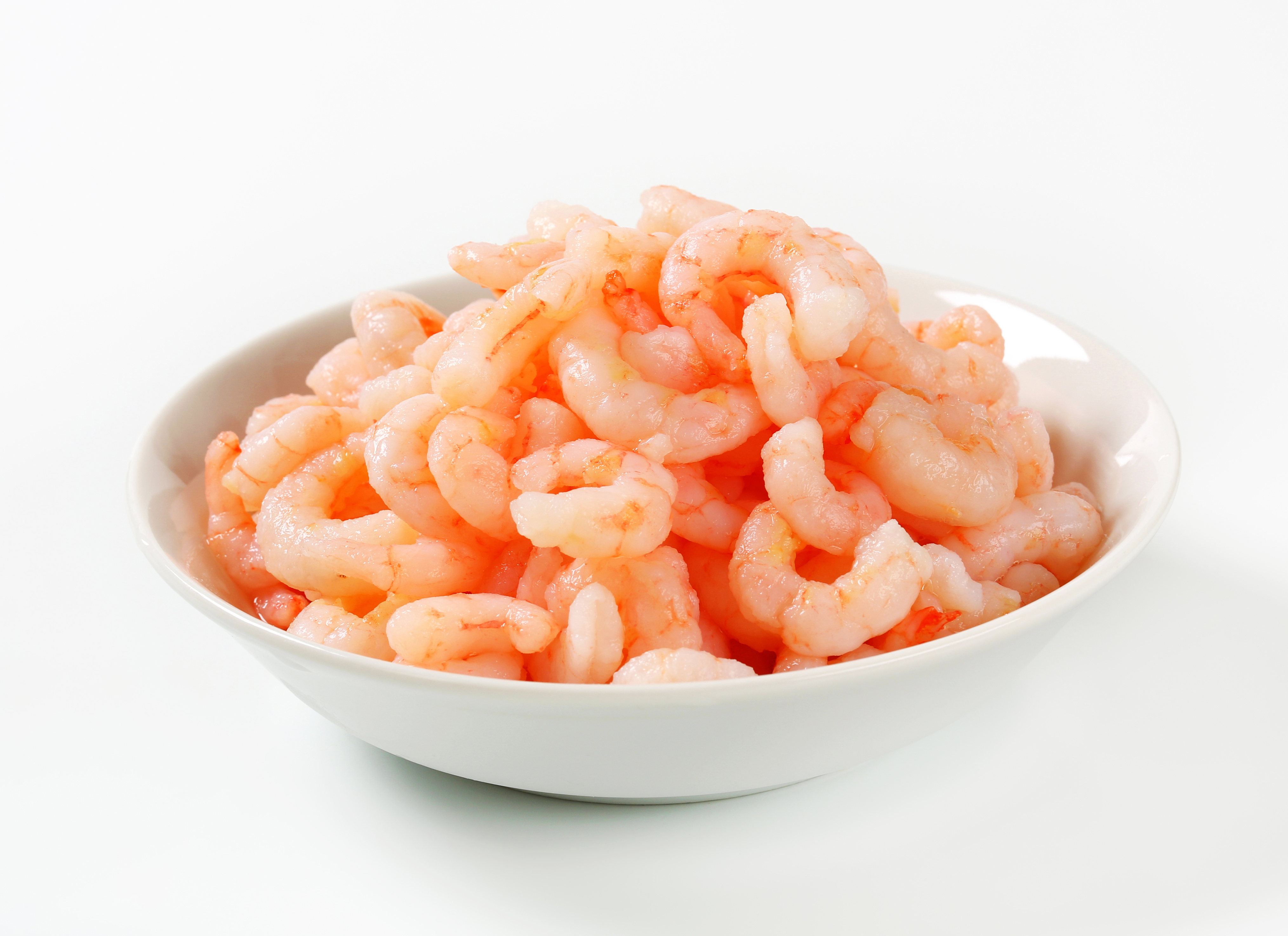 Cocktail Shrimps  gekocht, geschält, entdärmt Cocktailshrimps in weißer Schüssel