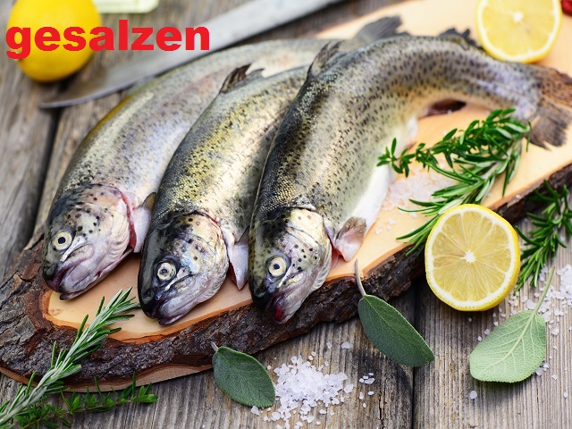 Forellen gesalzen zum selber Räuchern Forellen auf Holzbrett mit Rosmarin und Zitronescheibe garniert