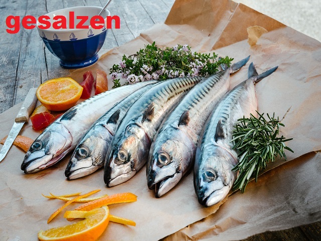 Makrelen gesalzen zum selber Räuchern