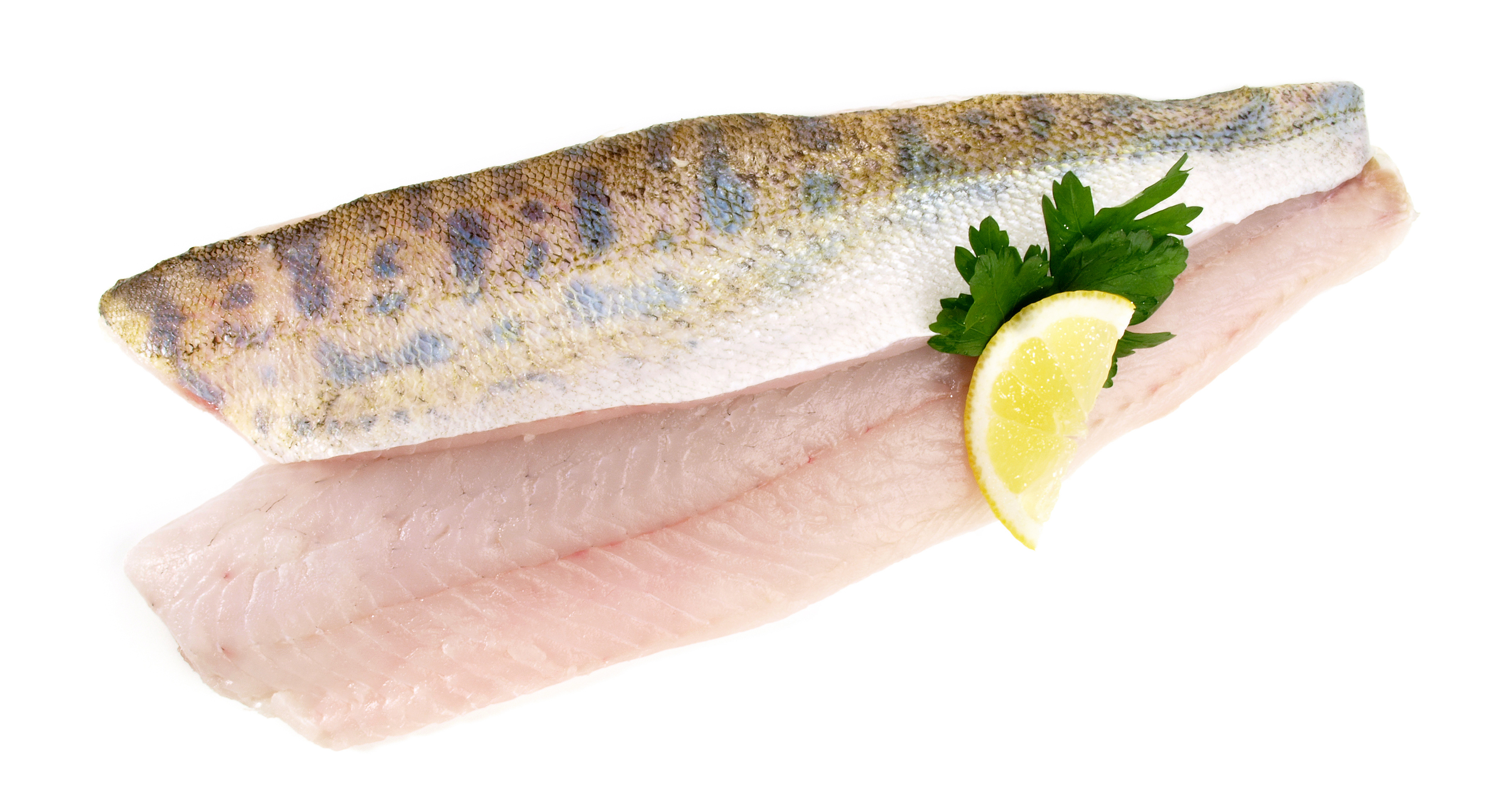 Zanderfilet mit Haut, geschuppt fangfrisch Zanderfilet mit Haut, geschuppt fangfrisch